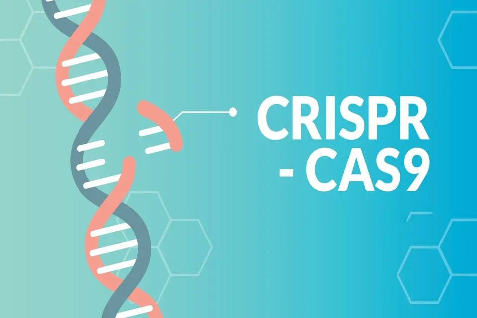 CRISPR Gen Teknolojisi: Genom Düzenlemede Devrim