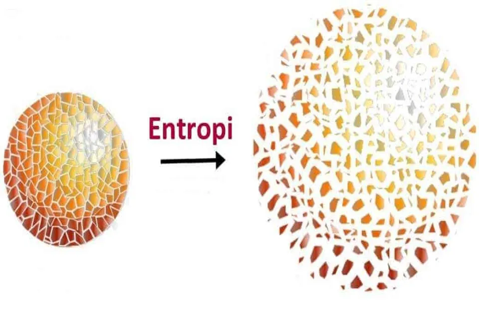 Entropi Nedir Kozmikten Bilgi Teorisine Derin Yolculuk